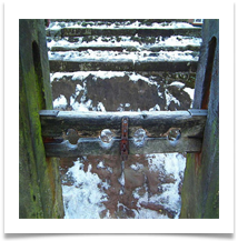 Lymm Stocks in winter_closeup - Dave Teehan